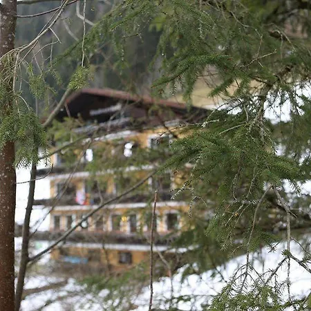 ホテル Stubnerhof バードガシュタイン